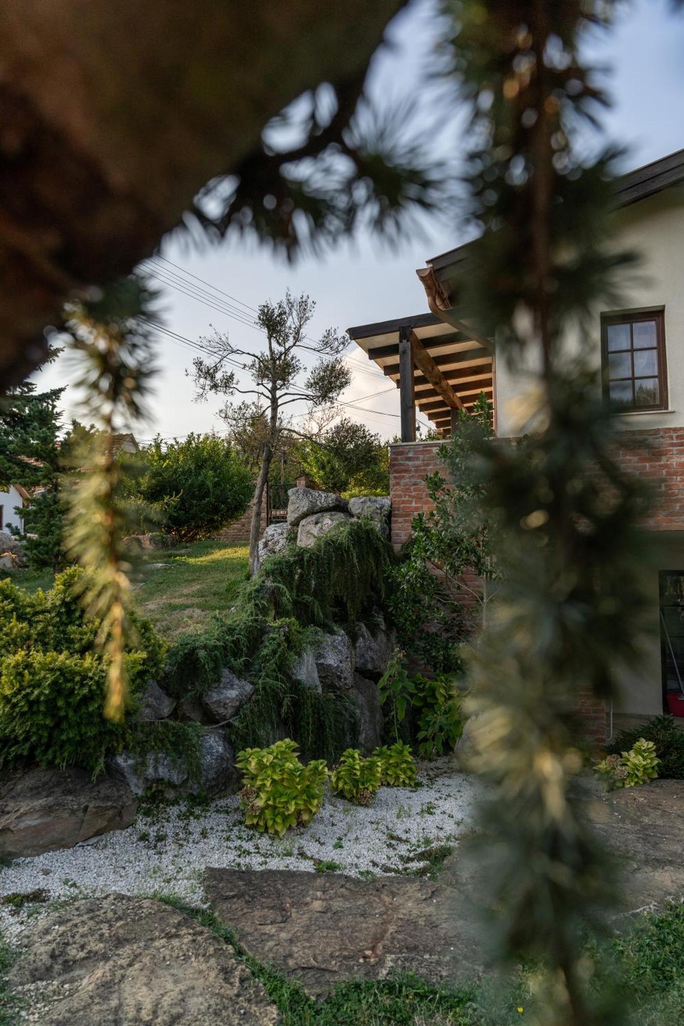 Villa Garden Zalaegerszeg Buitenkant foto