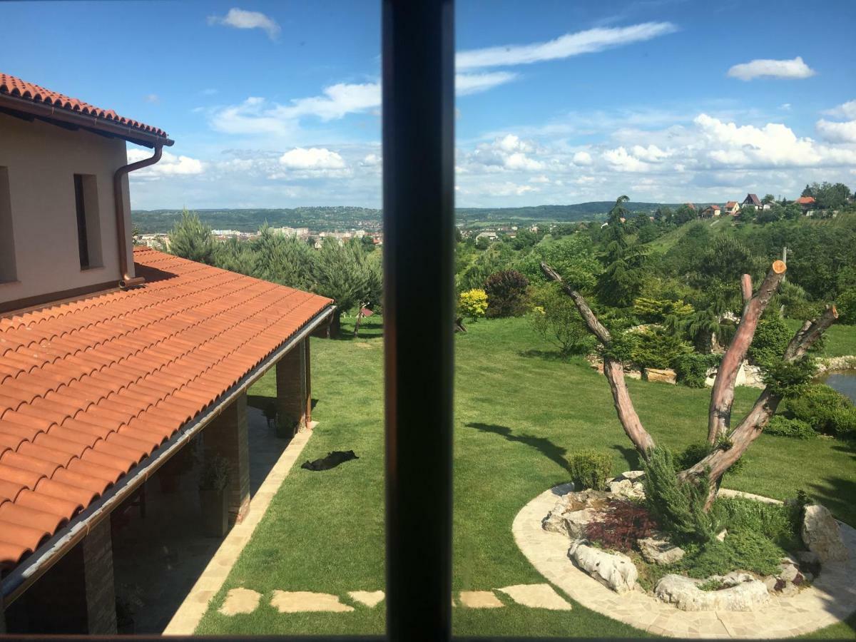 Villa Garden Zalaegerszeg Buitenkant foto