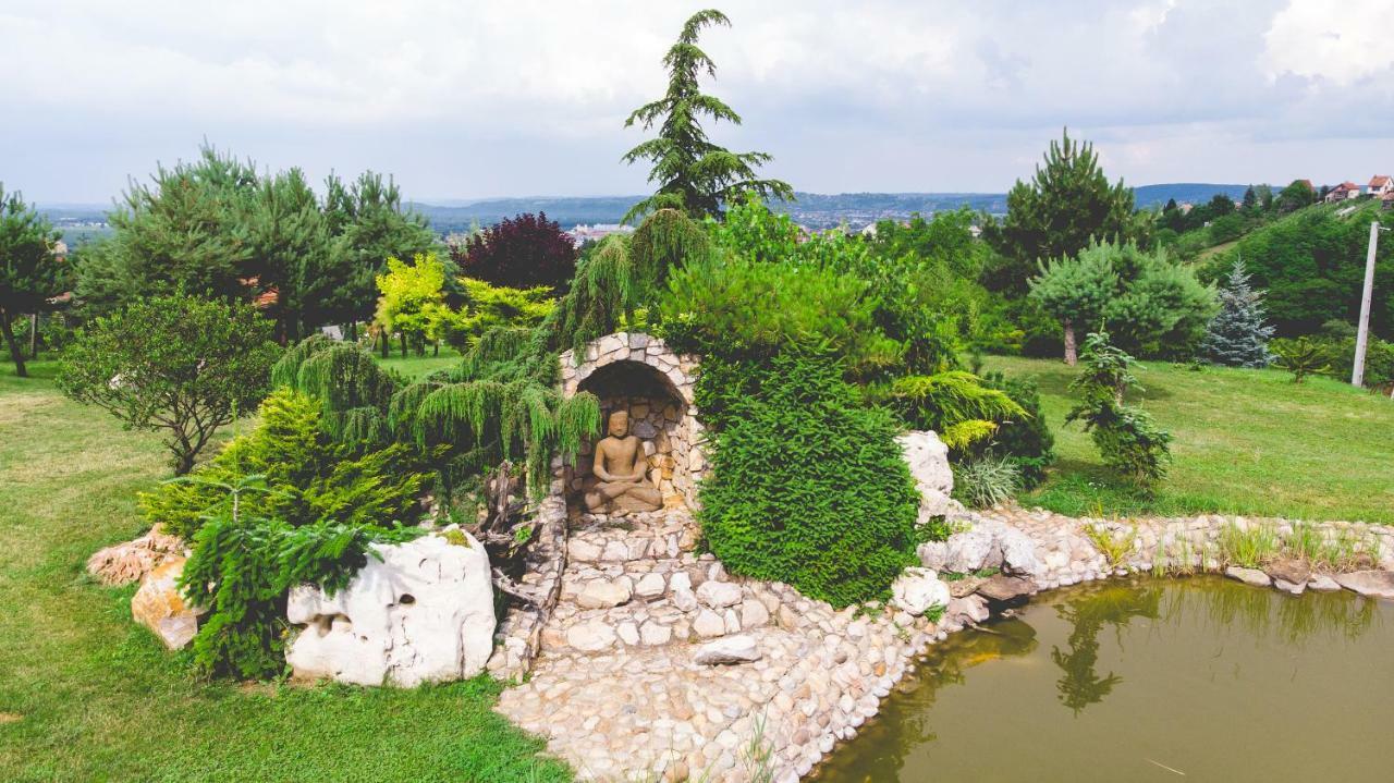 Villa Garden Zalaegerszeg Buitenkant foto